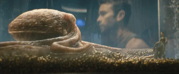 Ambrosia the Octopus inside a fish tank as Chace Crawford paces outside.