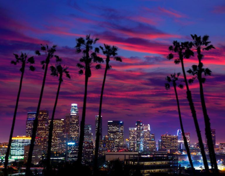 View of Downtown Los Angeles, where all of this week's projects are being cast.