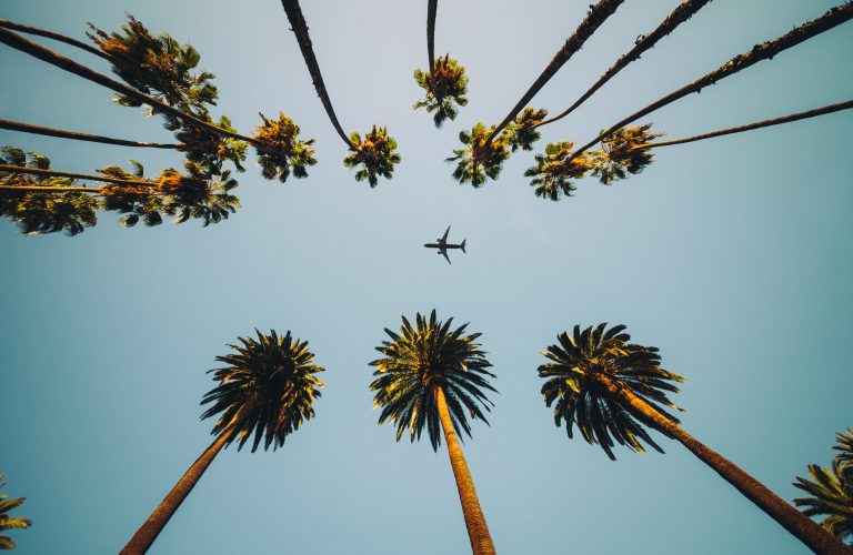 View of palm trees, which our Acting Up profiles Perry Mattfeld and Jason Clarke somtimes see on their way to a film shoot.